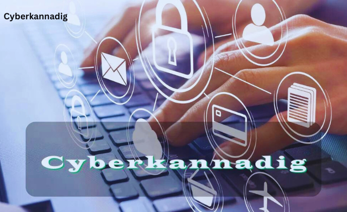 Cyberkannadig