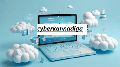 cyberkannadiga