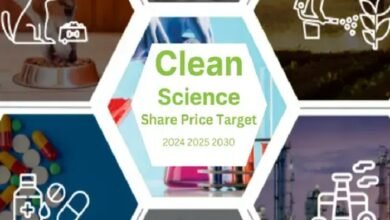 Clean Science Share Price