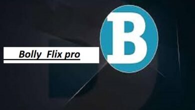 bollyflix pro