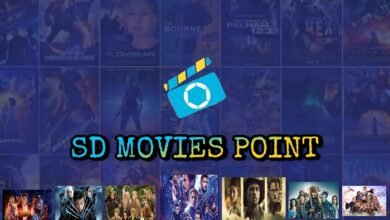 sd movies point